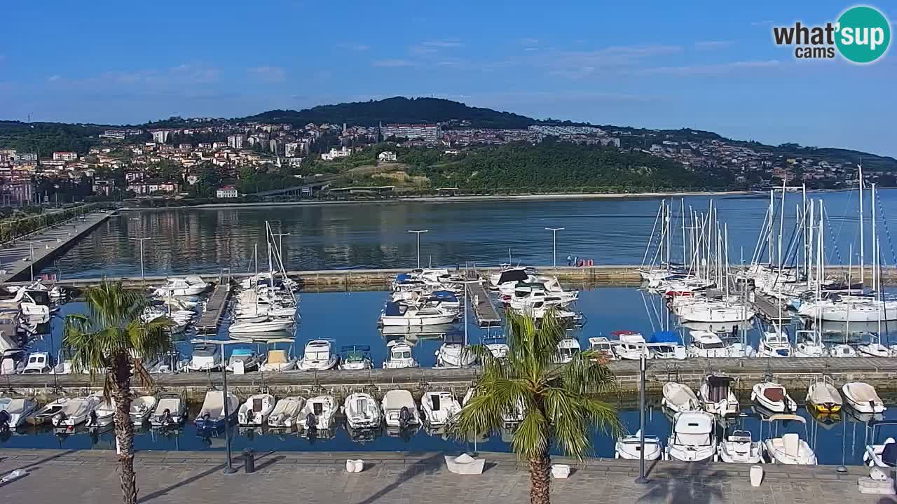 Luka Kopar uživo web kamera – Turistički terminal i teretna luka – Slovenija