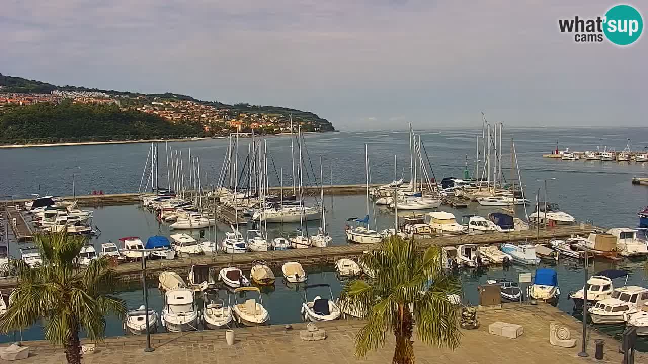 Spletna kamera Koper – Panorama na marino in promenado s Hotela Grand Koper