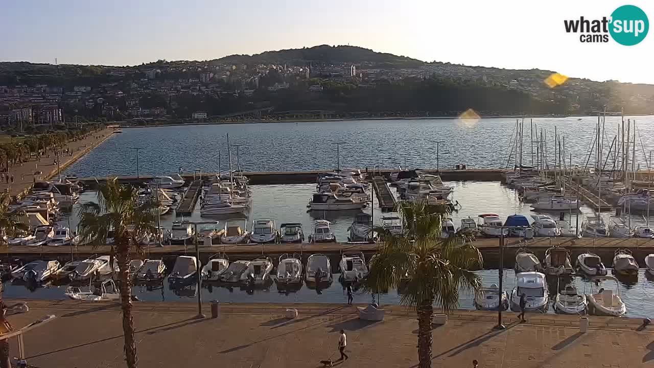 Camera en Vivo Koper – Ukmarjev trg