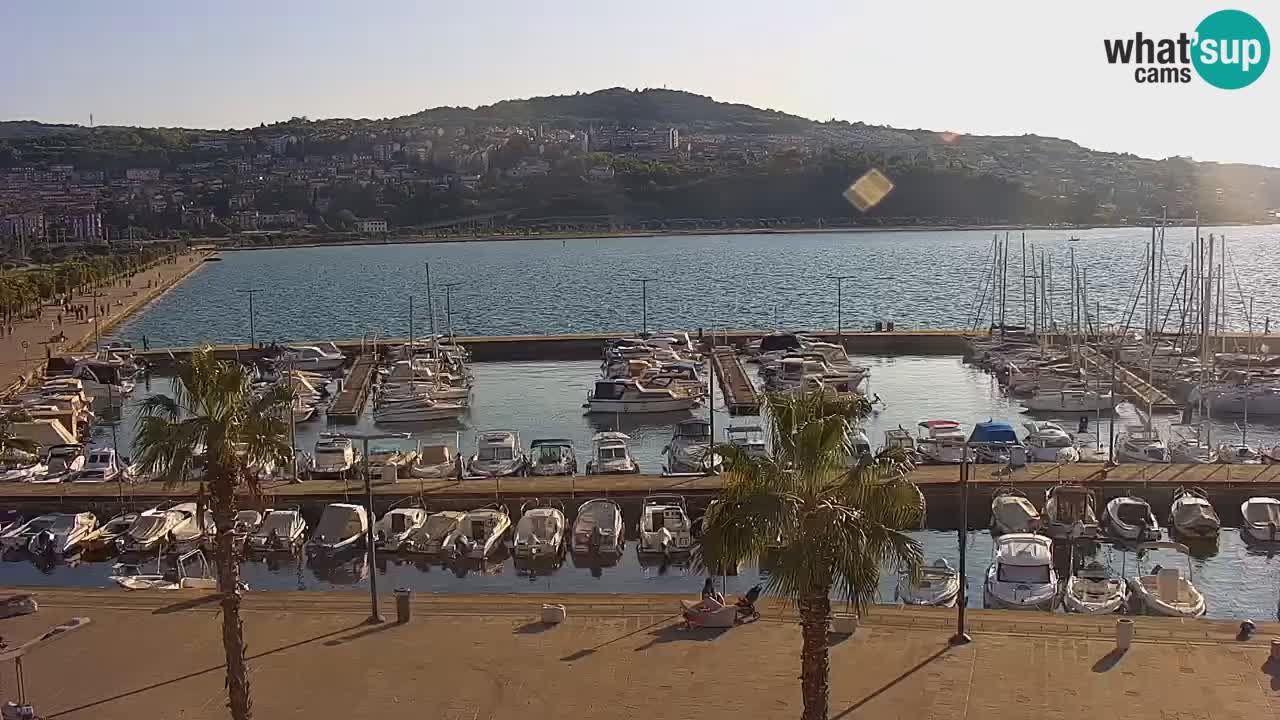 The Port of Koper live webcam – cruise and cargo port – Slovenia