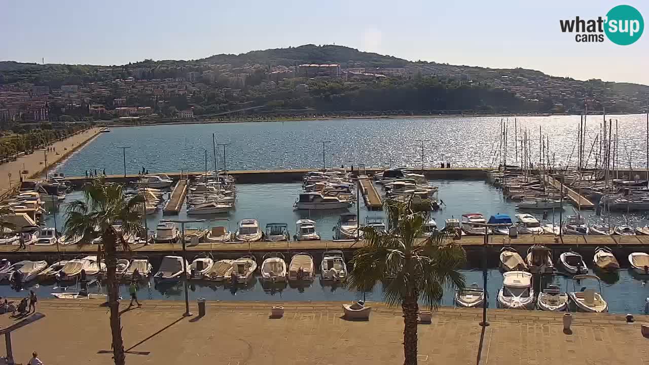 Camera en vivo Koper – puerto deportivo y paseo marítimo desde el Hotel Grand Koper