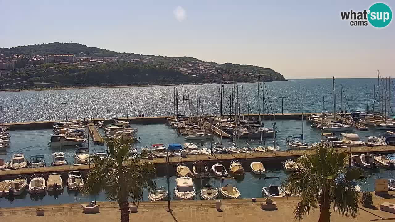 Webcam Koper – Panorama of the marina and promenade from the Grand Hotel Koper