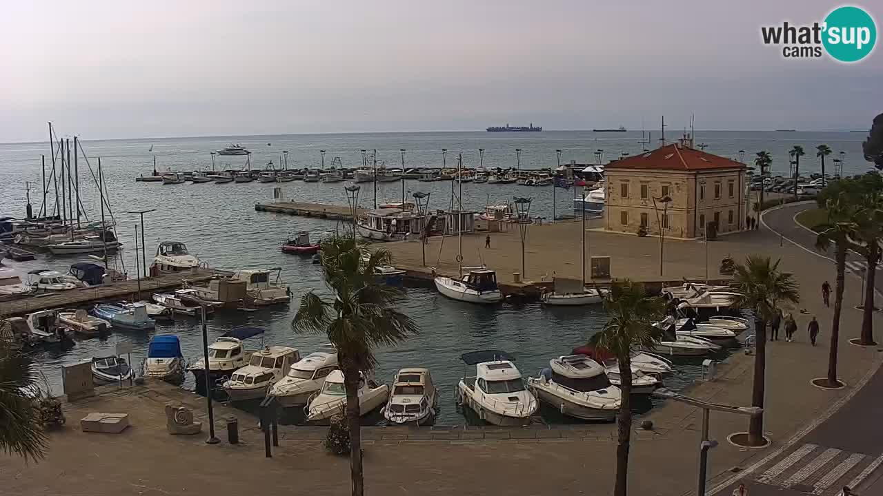 Camera en Vivo Koper – Ukmarjev trg