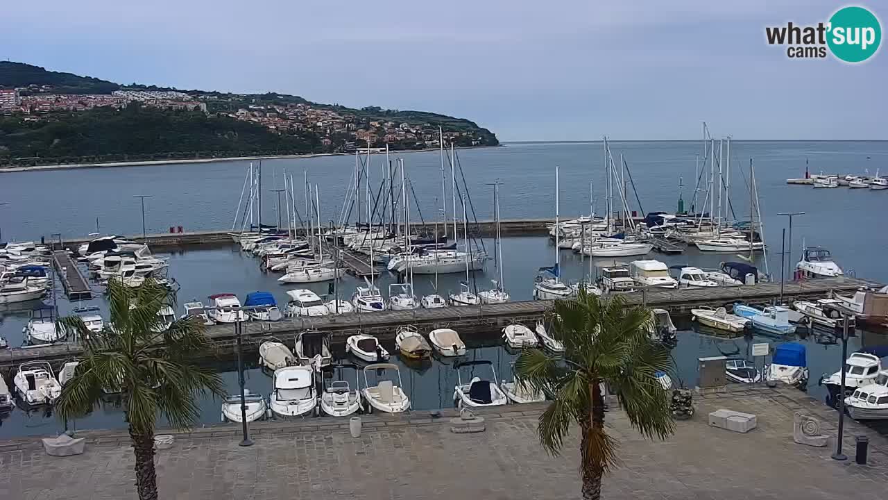 Camera en vivo Koper – puerto deportivo y paseo marítimo desde el Hotel Grand Koper