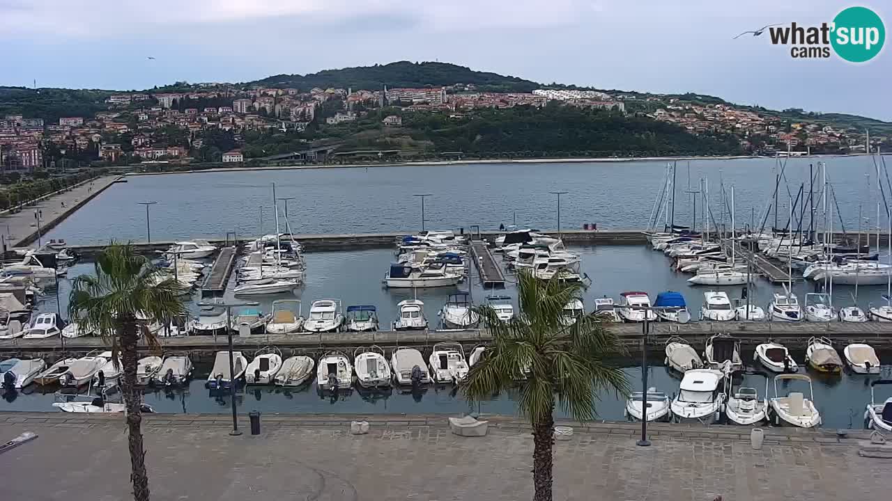 The Port of Koper live webcam – cruise and cargo port – Slovenia