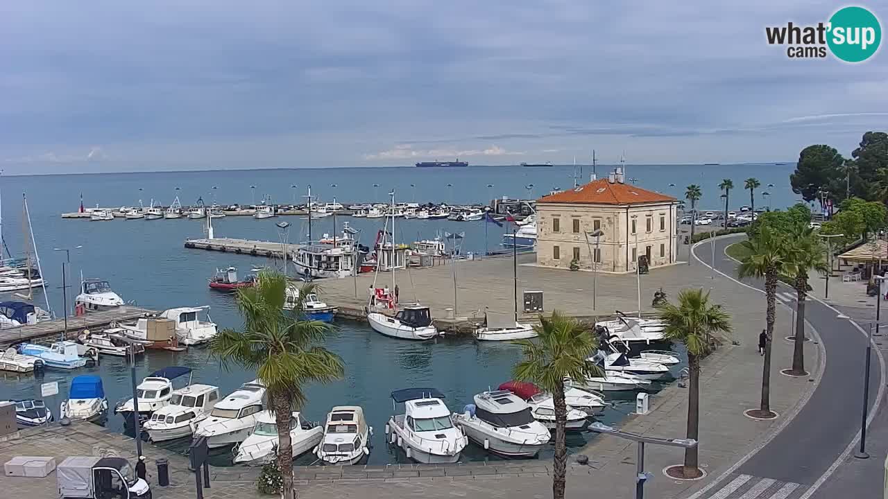 Spletna kamera Koper – Panorama na marino in promenado s Hotela Grand Koper