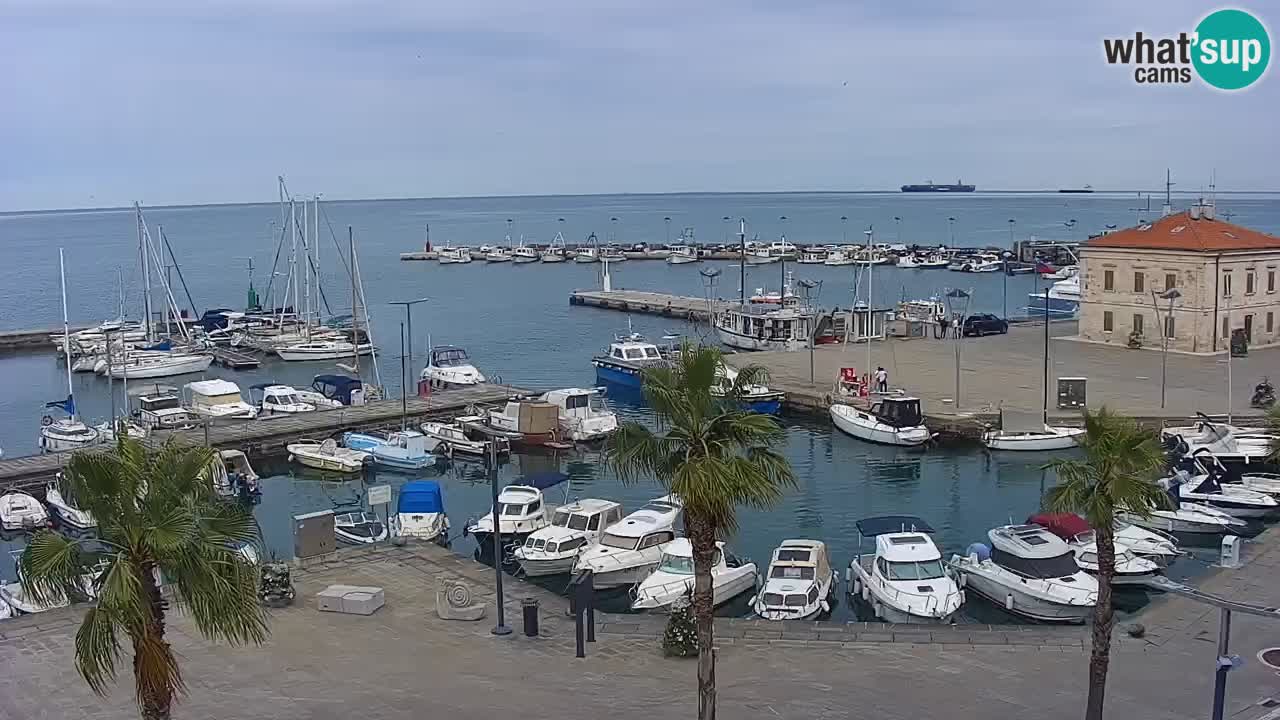 Webcam Koper – Panorama des Jachthafens und der Promenade vom Hotel Grand Koper