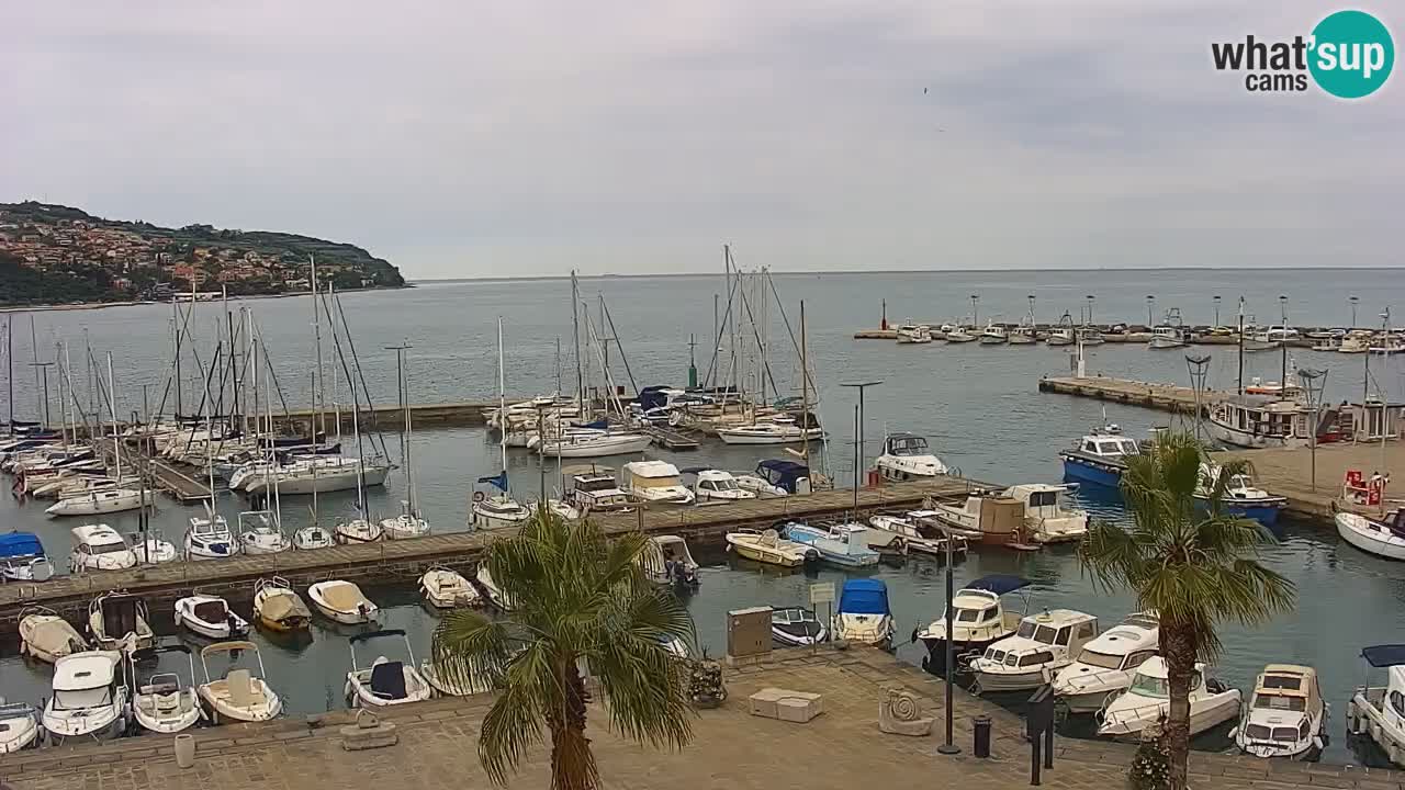 The Port of Koper live webcam – cruise and cargo port – Slovenia