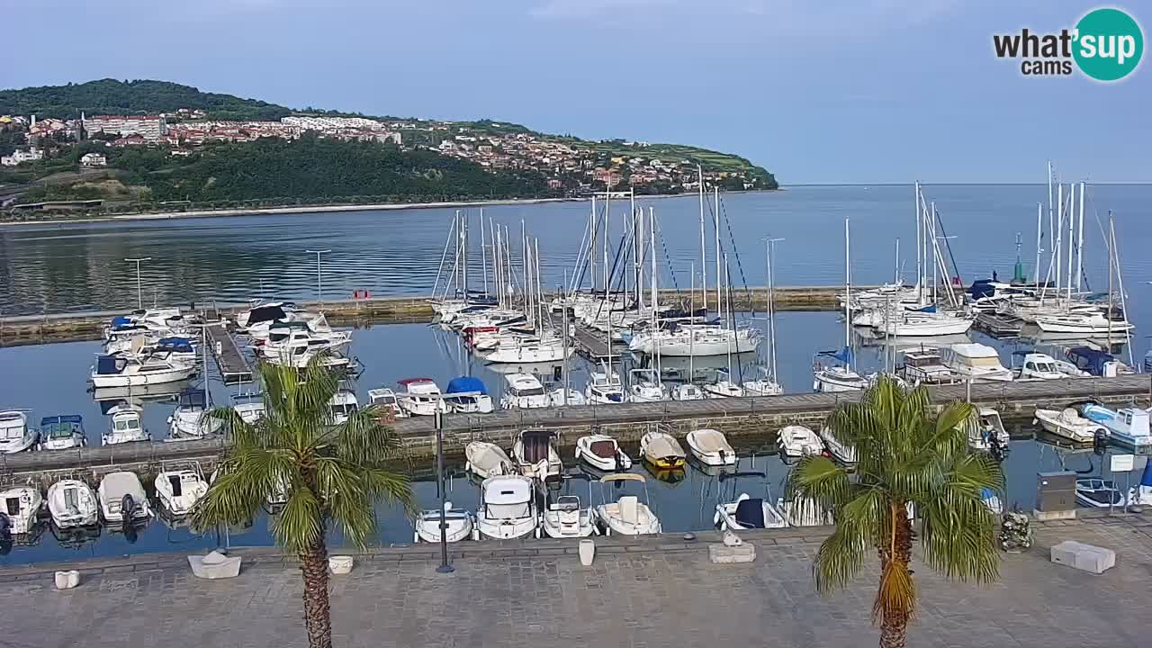 Der Hafen von Koper Live-Webcam – Kreuzfahrt- und Frachthafen – Slowenien