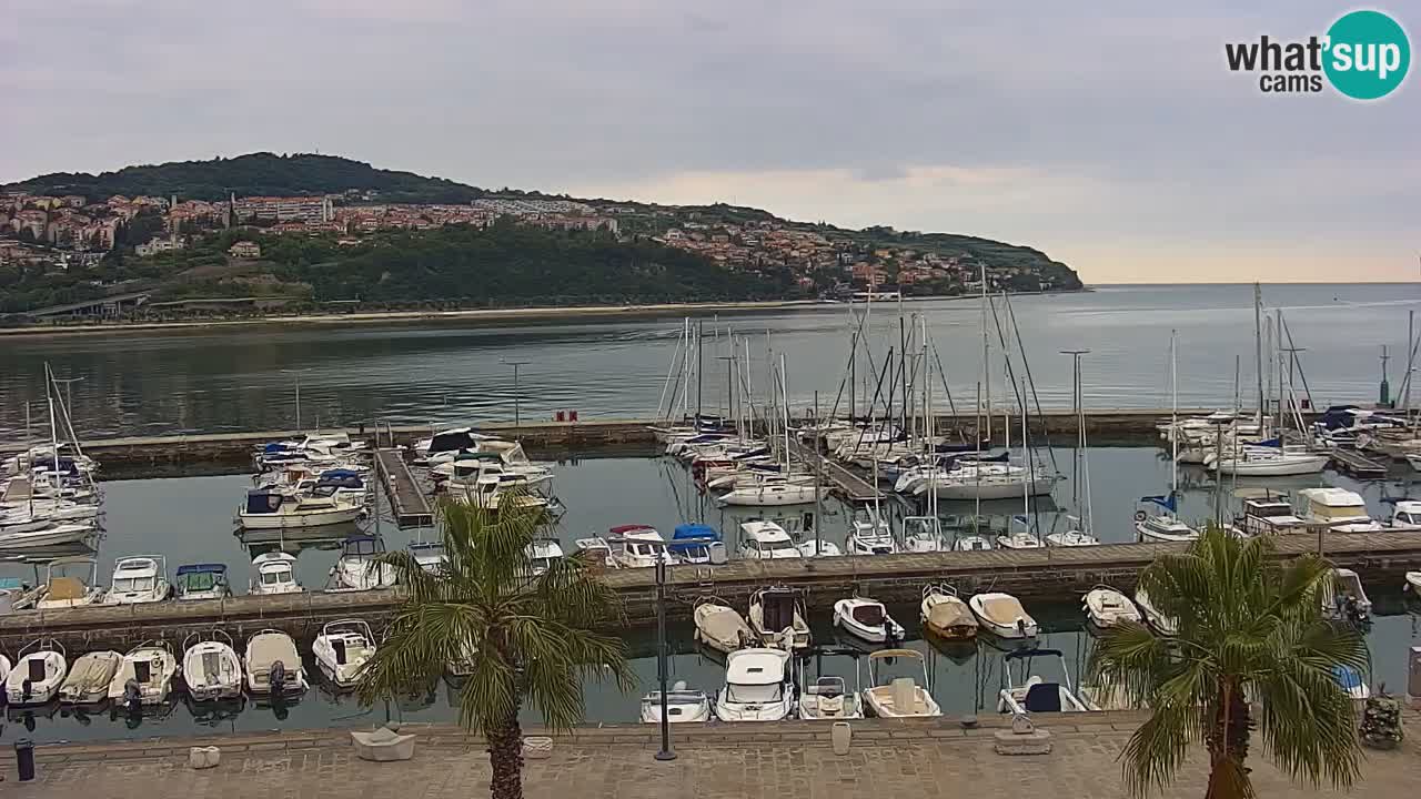 Webcam en vivo del Puerto de Koper – puerto de carga y cruceros – Eslovenia