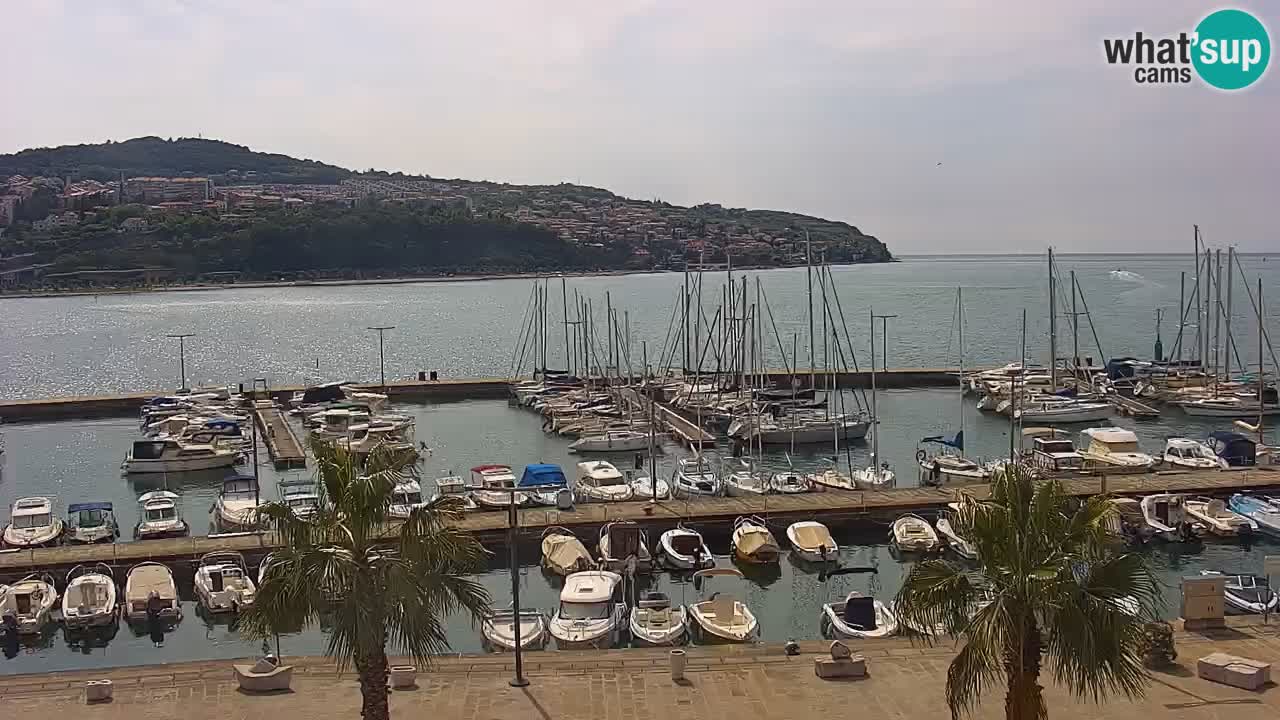 Webcam Koper – Panorama of the marina and promenade from the Grand Hotel Koper