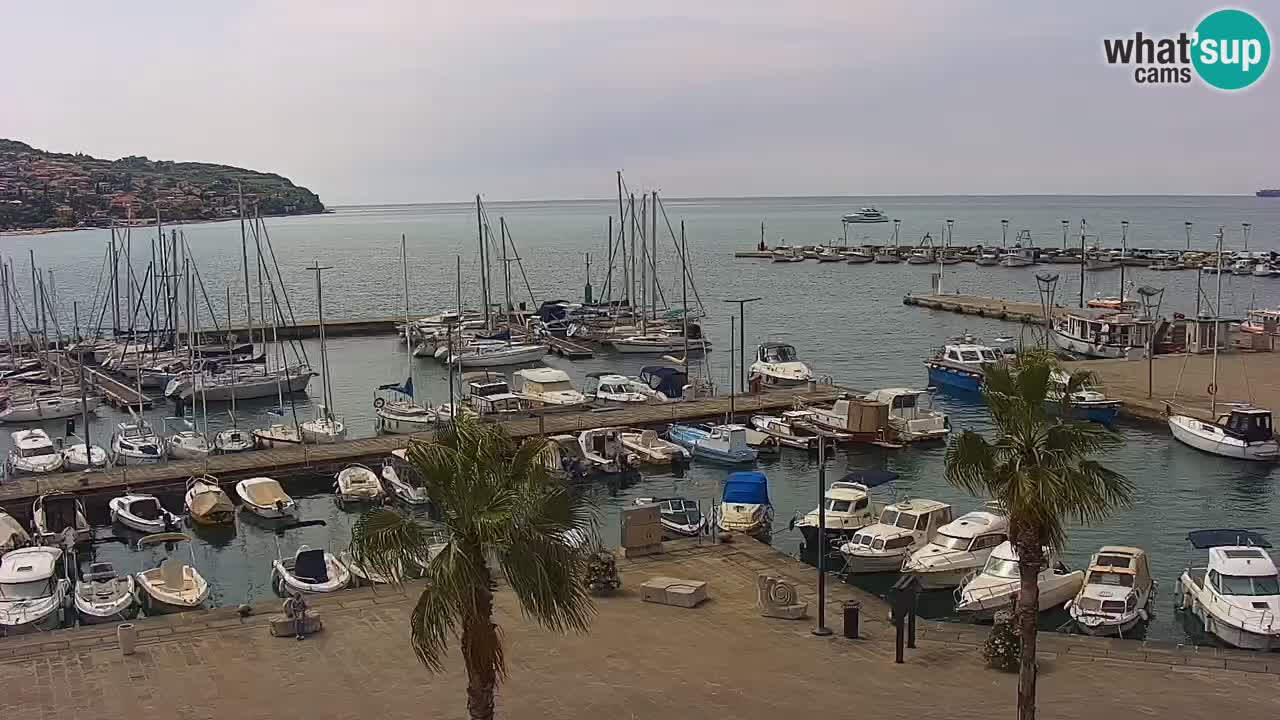 Il porto di Koper – Capodistria live webcam – porto crociere e mercantile – Slovenia
