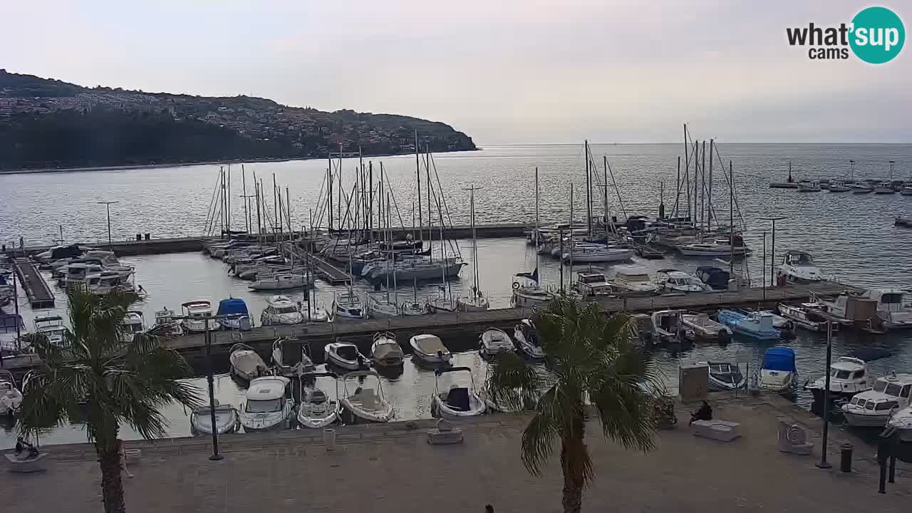 Webcam Koper – Panorama of the marina and promenade from the Grand Hotel Koper