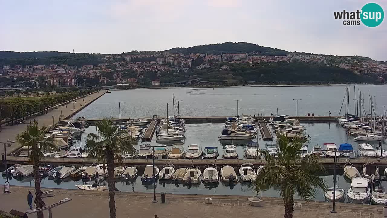 Live cam Koper – Ukmarjev trg