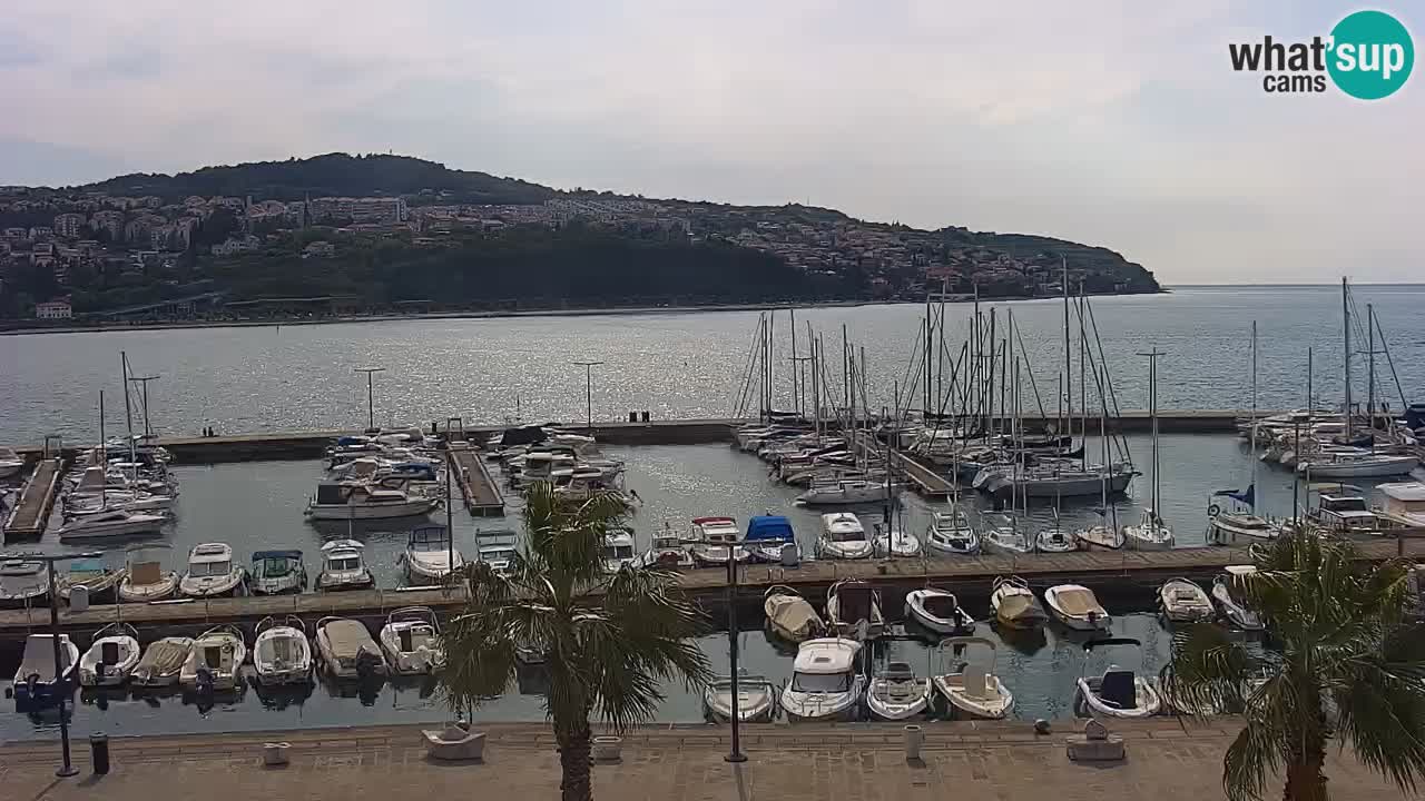 Il porto di Koper – Capodistria live webcam – porto crociere e mercantile – Slovenia