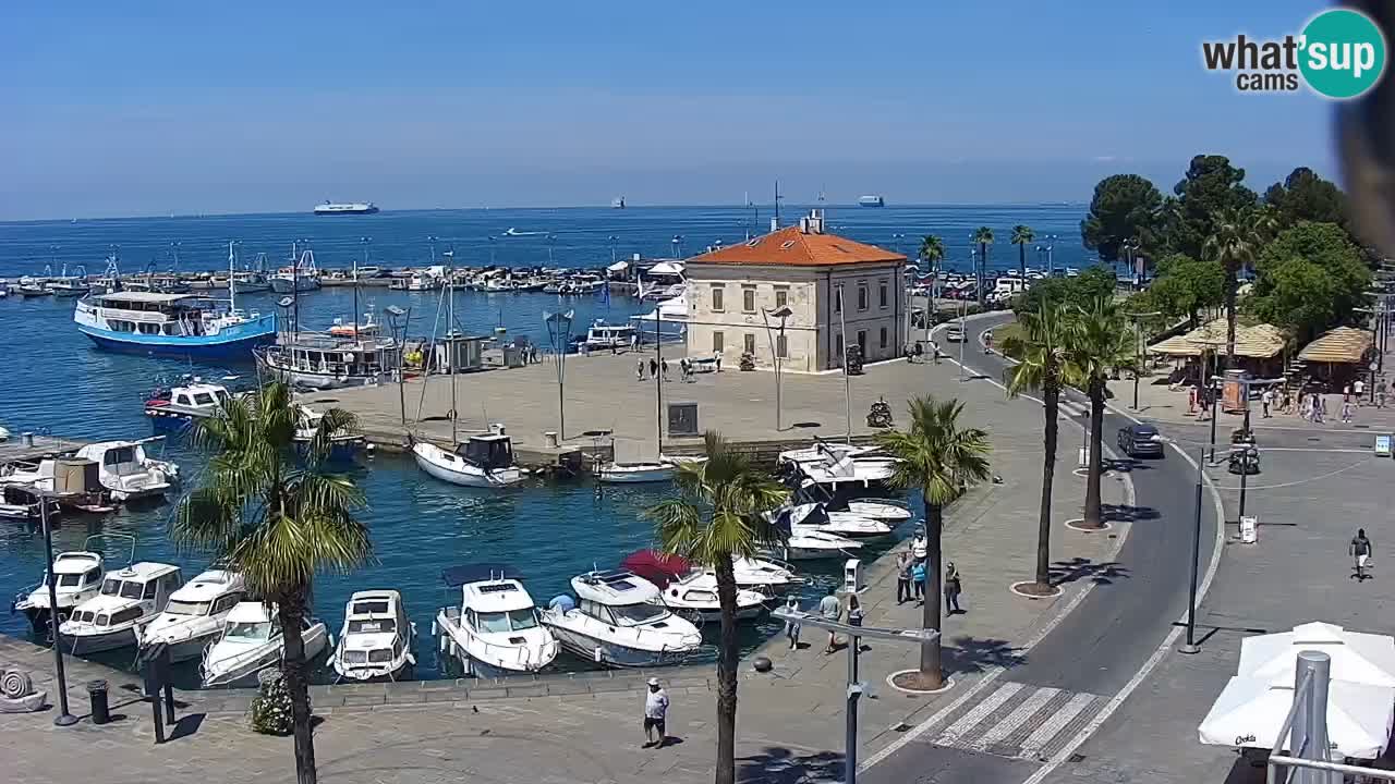Camera en Vivo Koper – Ukmarjev trg