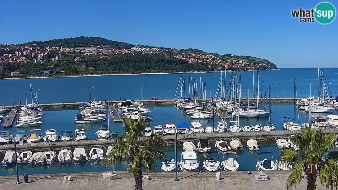 Webcam Koper – Panorama of the marina and promenade from the Grand Hotel Koper
