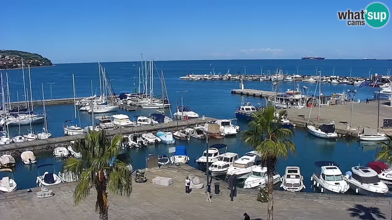 Webcam Capodistria – Piazza Ukmar