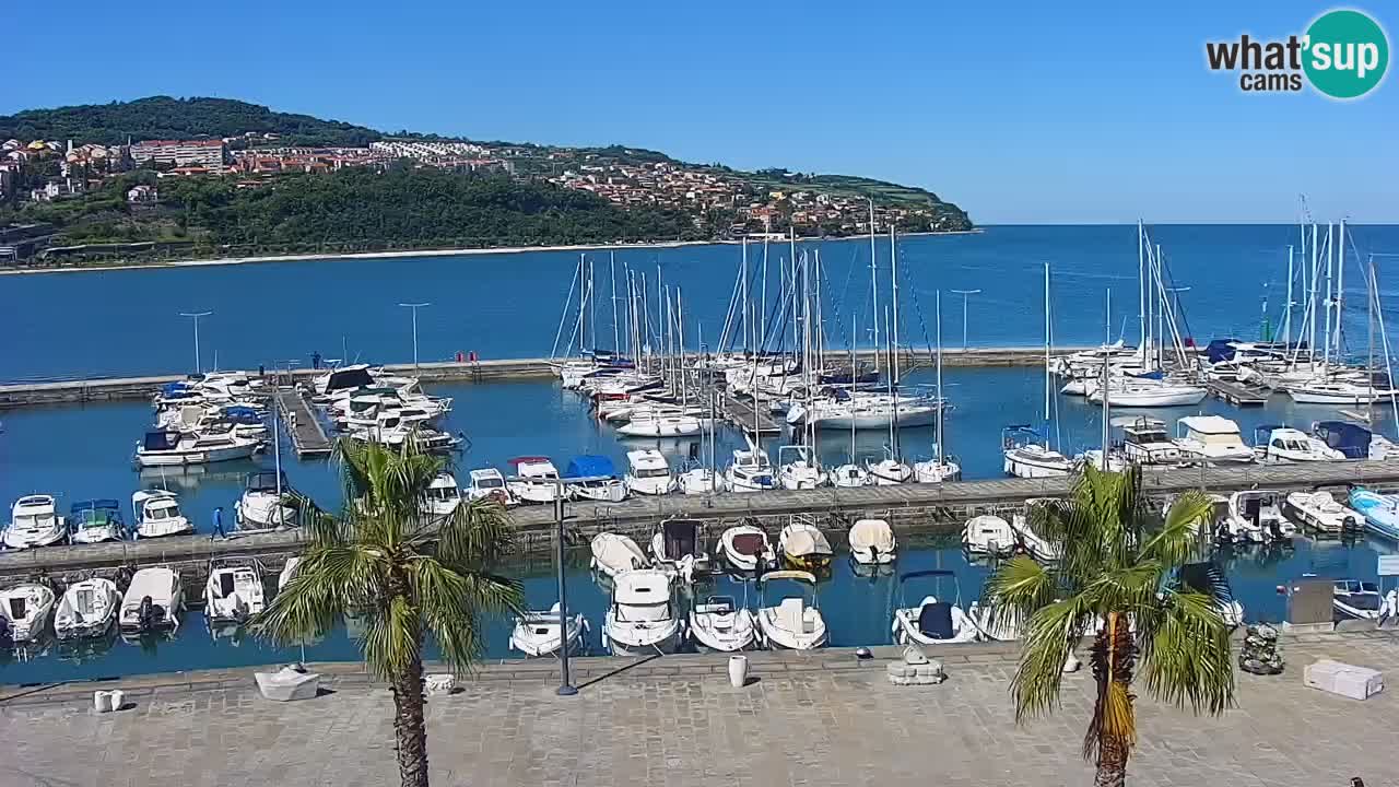 Der Hafen von Koper Live-Webcam – Kreuzfahrt- und Frachthafen – Slowenien