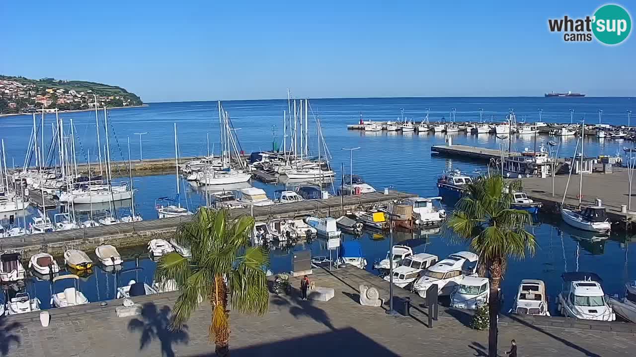 The Port of Koper live webcam – cruise and cargo port – Slovenia