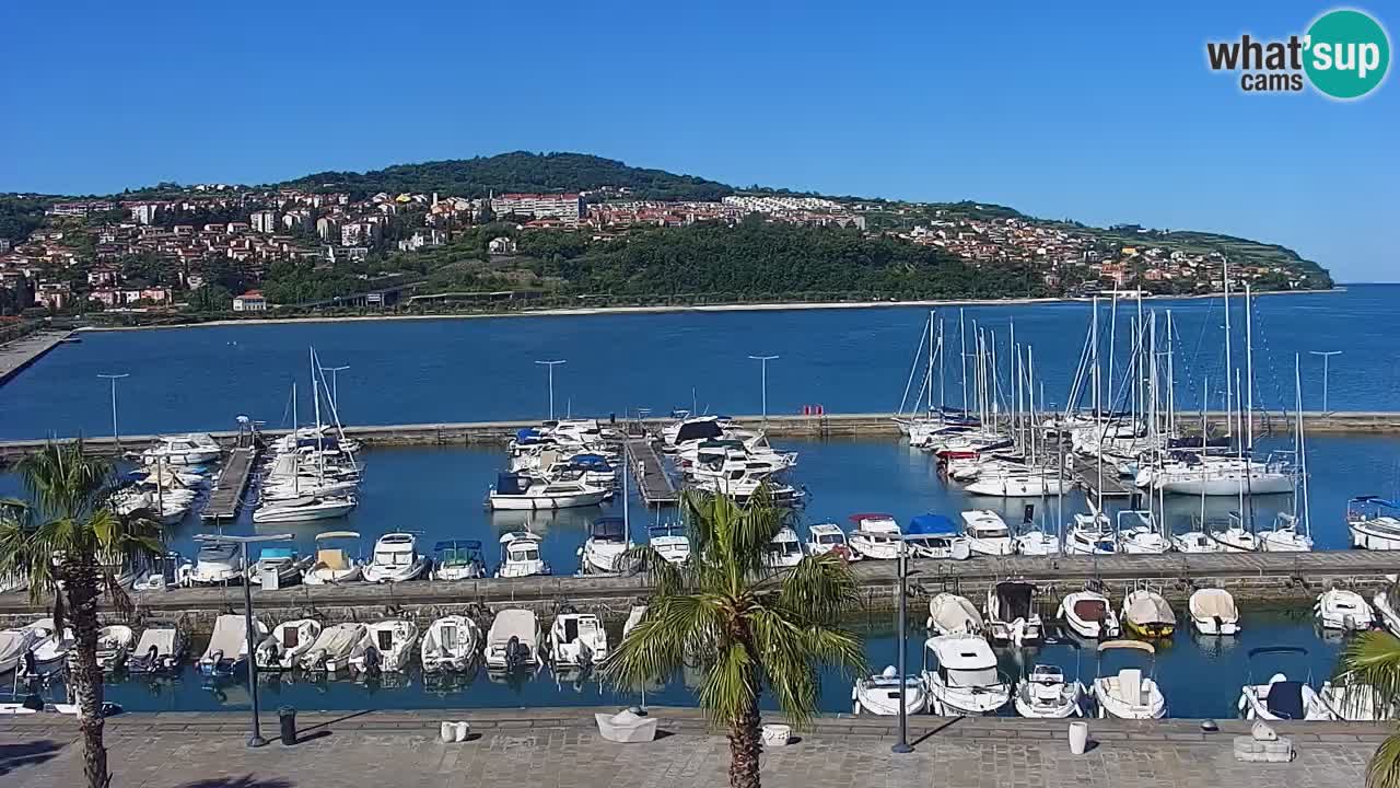 Spletna kamera Koper – Panorama na marino in promenado s Hotela Grand Koper