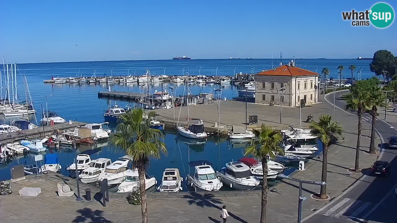 Der Hafen von Koper Live-Webcam – Kreuzfahrt- und Frachthafen – Slowenien