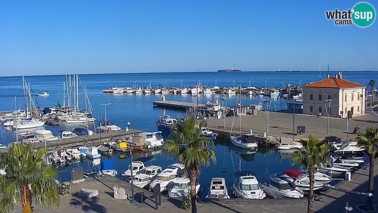 Webcam Capodistria – Piazza Ukmar