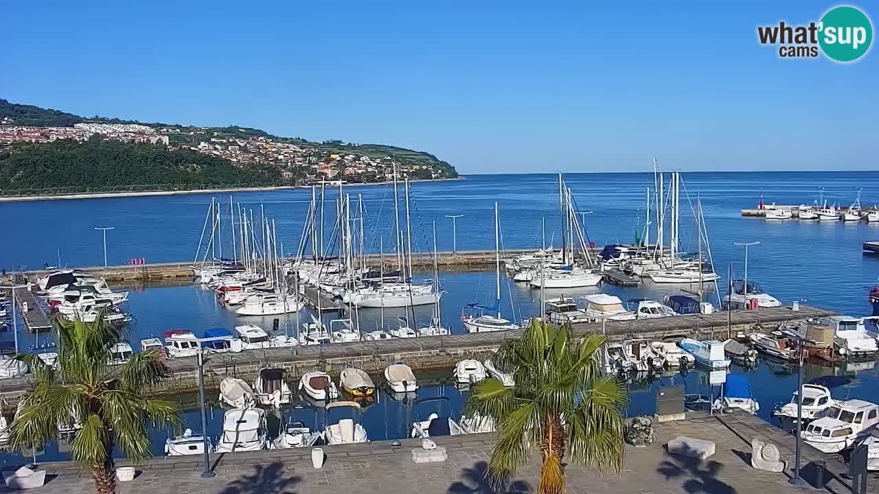 Il porto di Koper – Capodistria live webcam – porto crociere e mercantile – Slovenia