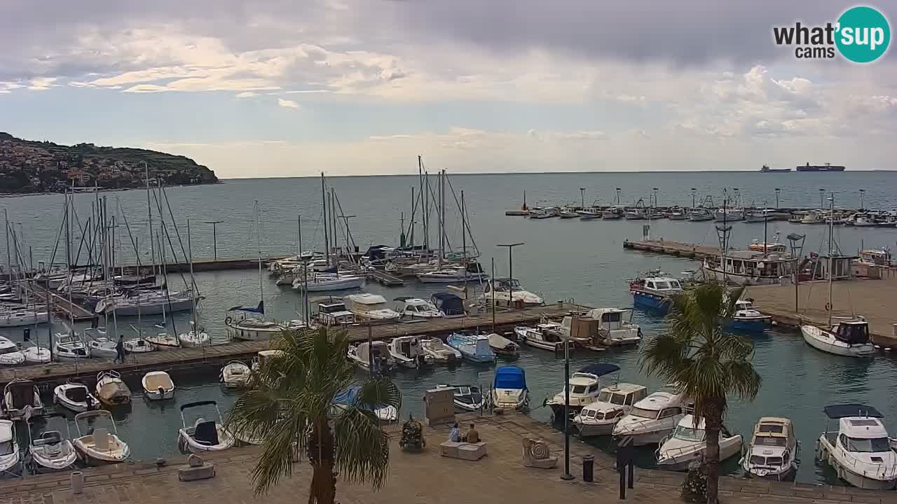 Webcam Koper – Panorama of the marina and promenade from the Grand Hotel Koper
