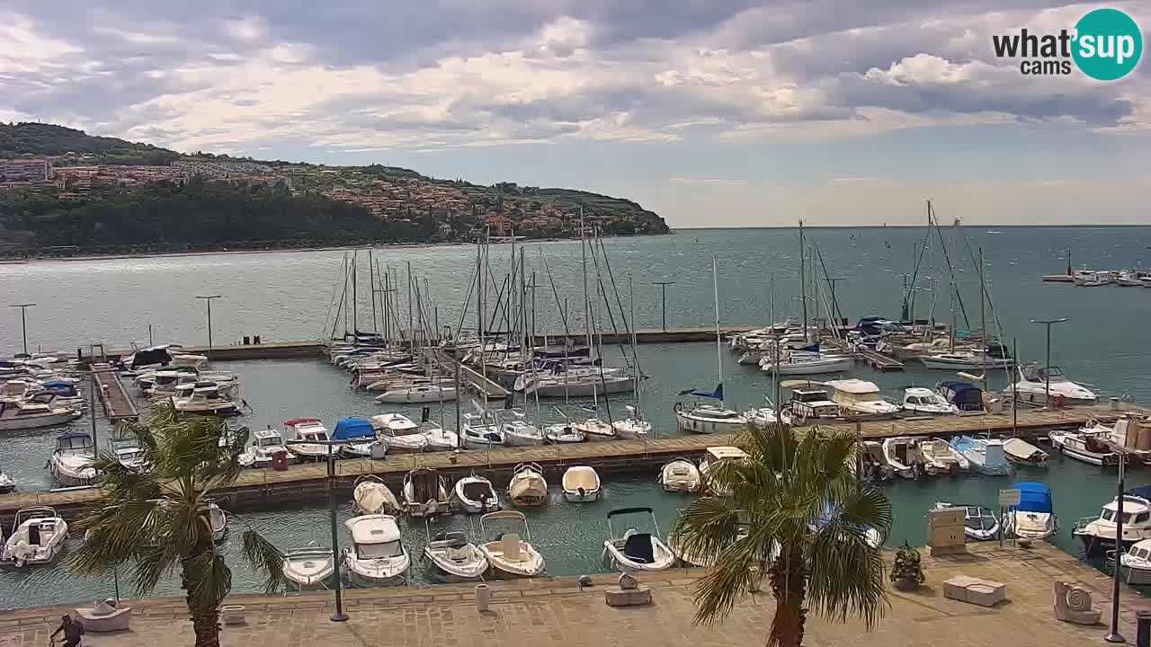 Webcam Capodistria – marina e lungo mare dall’Hotel Grand Koper