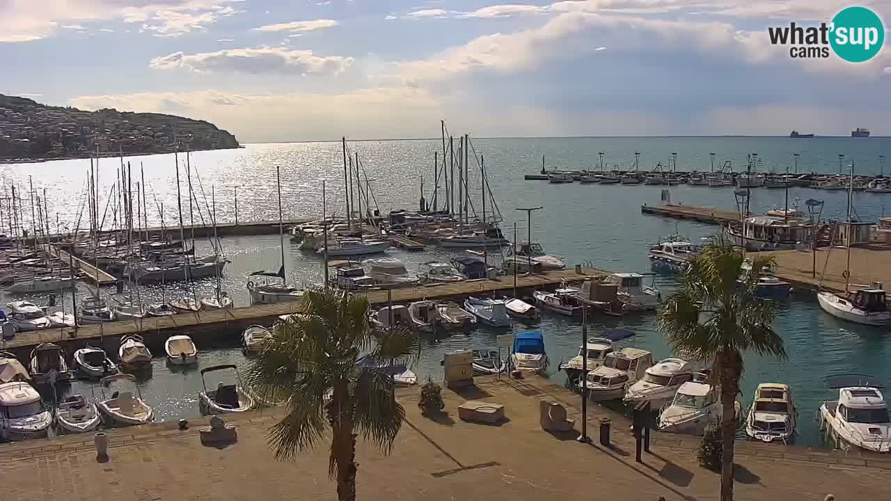 Webcam Koper – Panorama of the marina and promenade from the Grand Hotel Koper