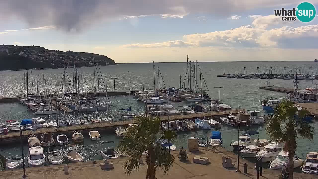 Spletna kamera Luka Koper v živo – Potniški terminal in tovorno pristanišče – Slovenija