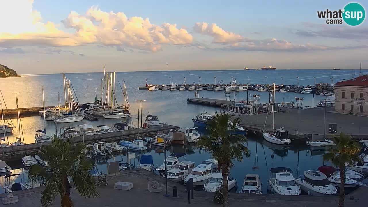 Der Hafen von Koper Live-Webcam – Kreuzfahrt- und Frachthafen – Slowenien