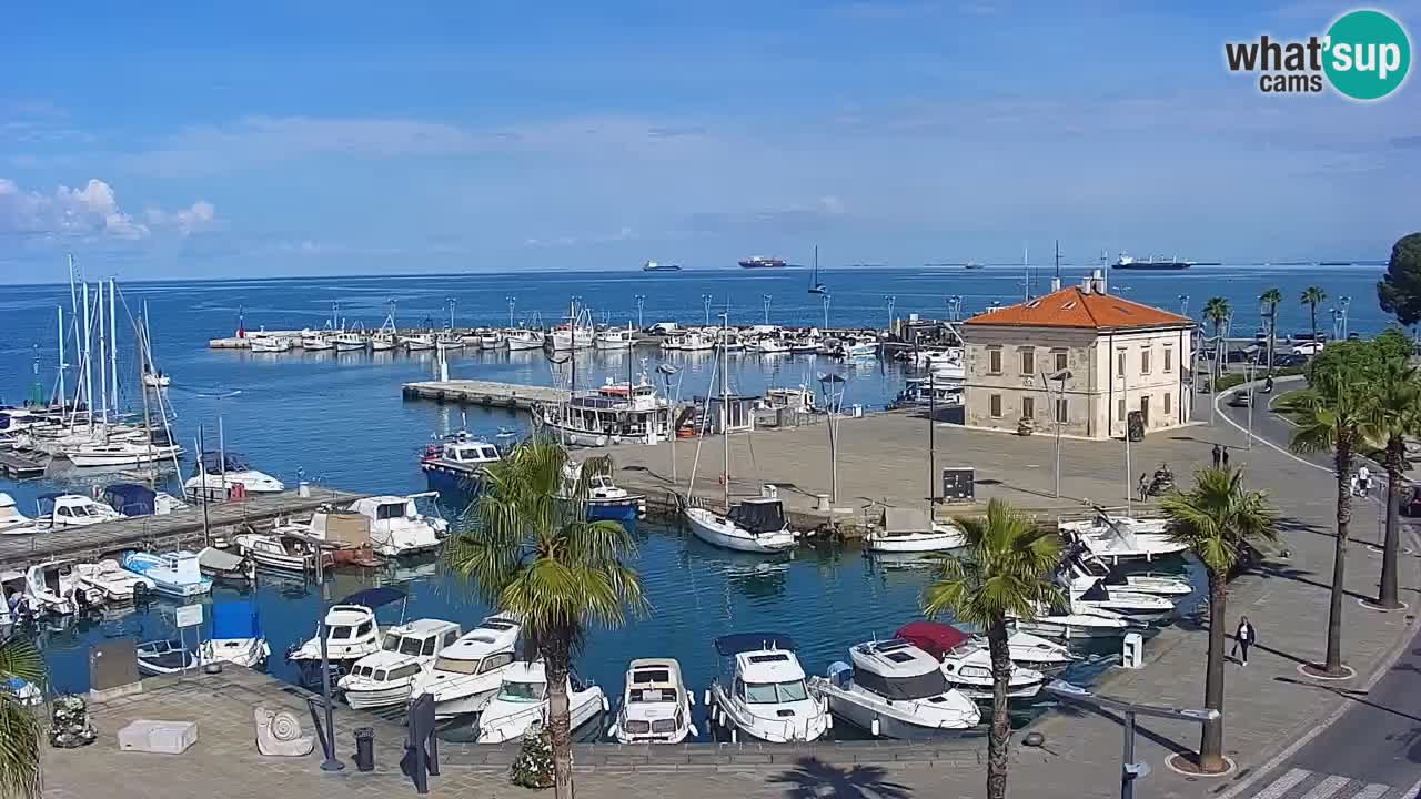 Spletna kamera Koper – Panorama na marino in promenado s Hotela Grand Koper