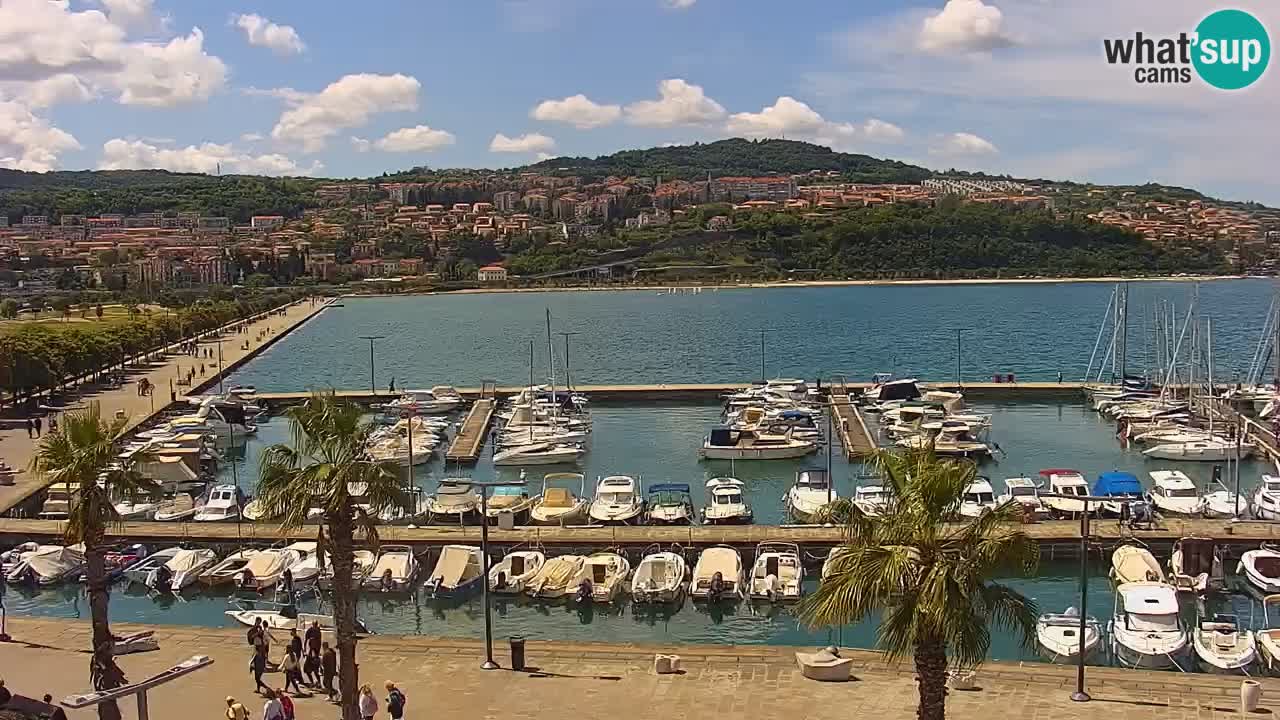 Webcam Koper – Panorama of the marina and promenade from the Grand Hotel Koper