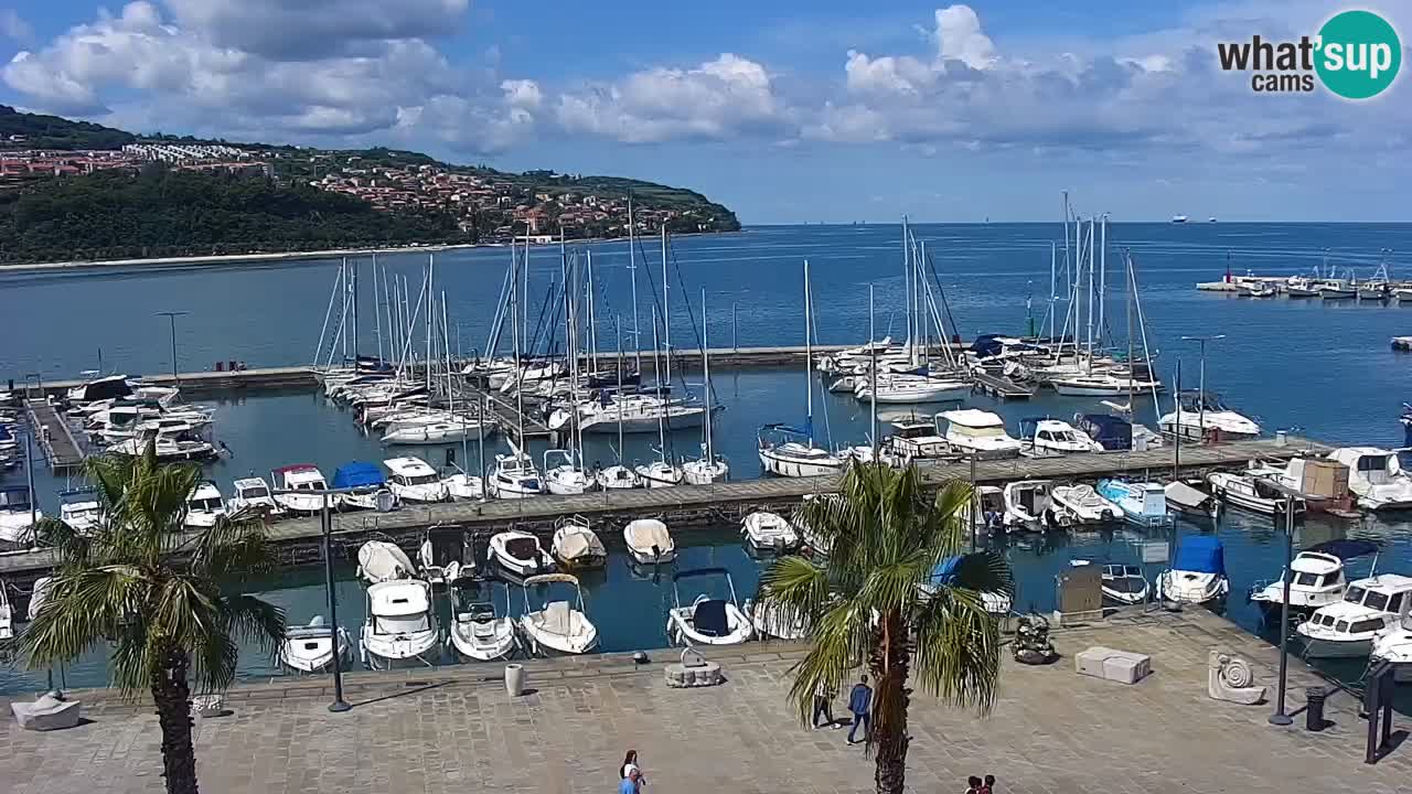 The Port of Koper live webcam – cruise and cargo port – Slovenia