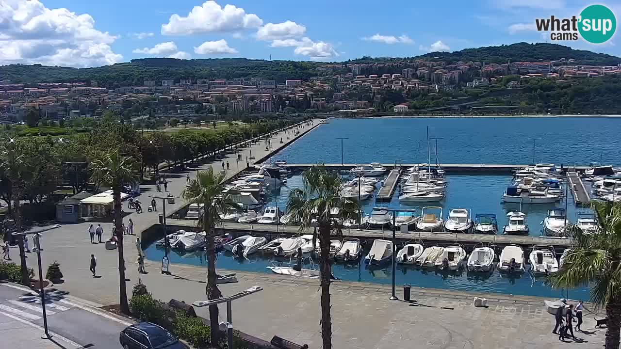 Luka Kopar uživo web kamera – Turistički terminal i teretna luka – Slovenija