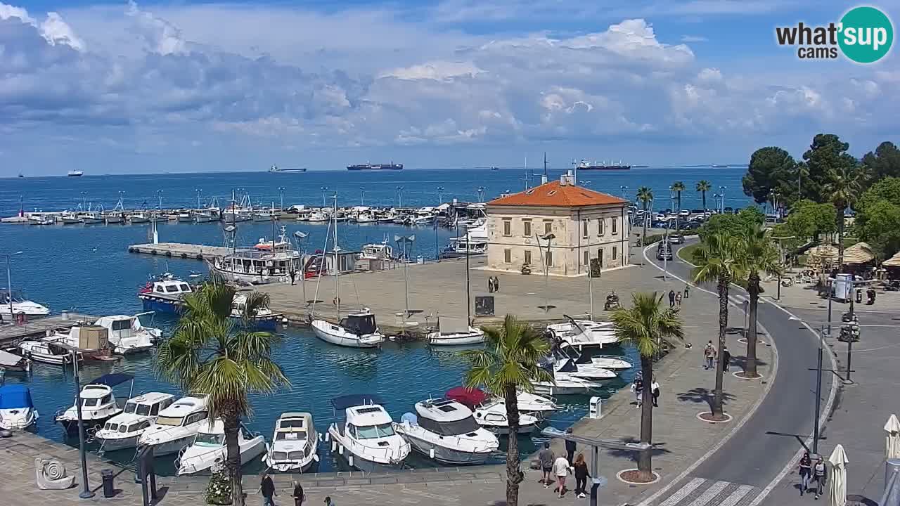 Live cam Koper – Ukmarjev trg