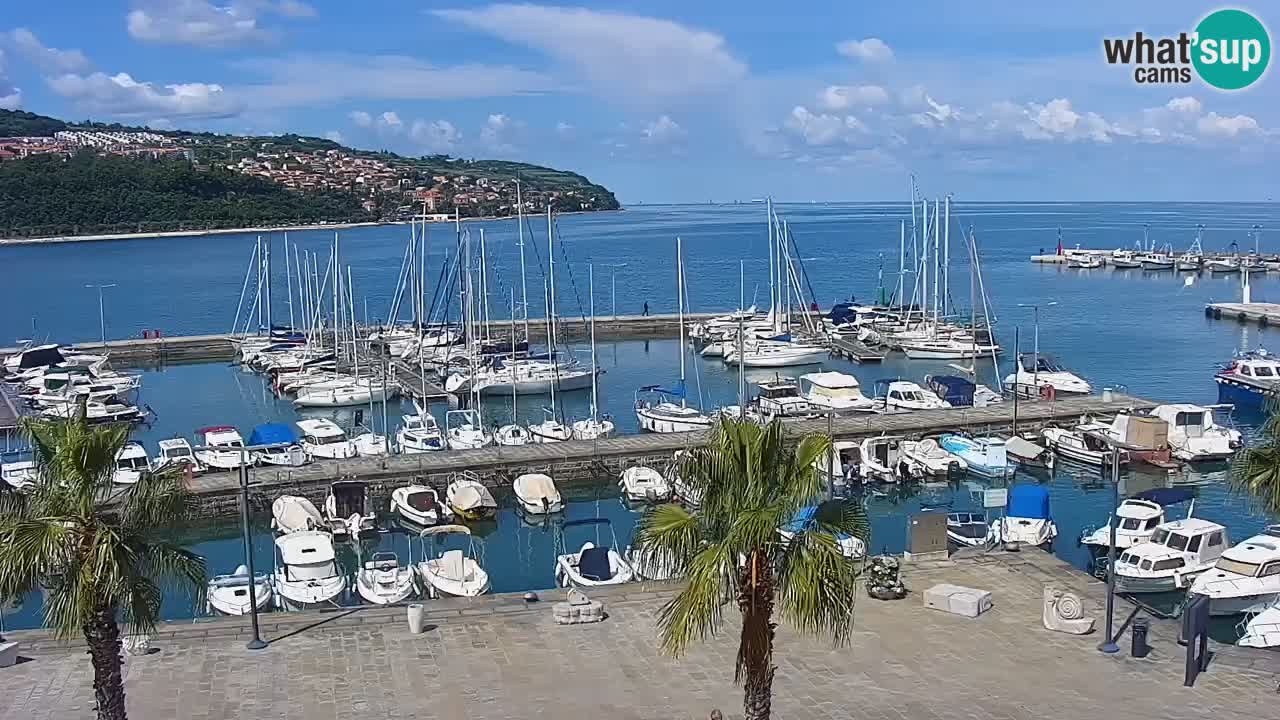 Luka Kopar uživo web kamera – Turistički terminal i teretna luka – Slovenija