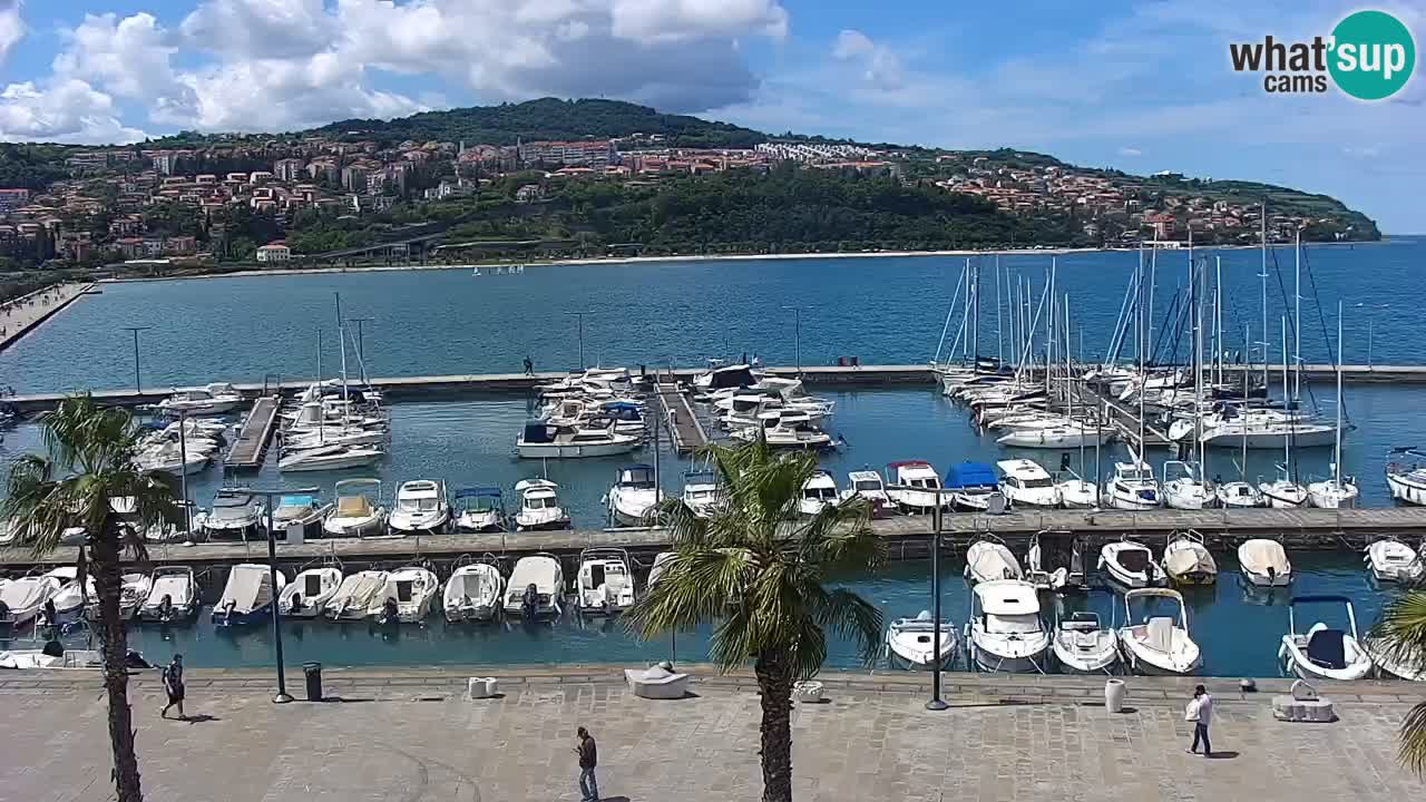 Web kamera Koper – marina i promenada – hotel Grand Koper