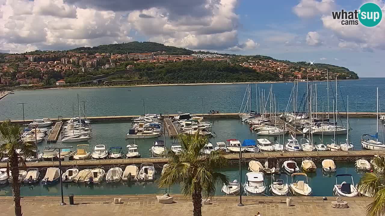 Der Hafen von Koper Live-Webcam – Kreuzfahrt- und Frachthafen – Slowenien