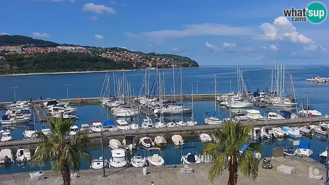 Spletna kamera Koper – Panorama na marino in promenado s Hotela Grand Koper