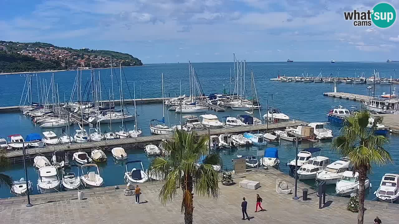 Spletna kamera Koper – Panorama na marino in promenado s Hotela Grand Koper
