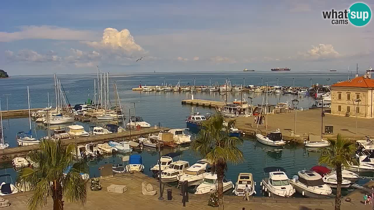 Web kamera Koper – marina i promenada – hotel Grand Koper