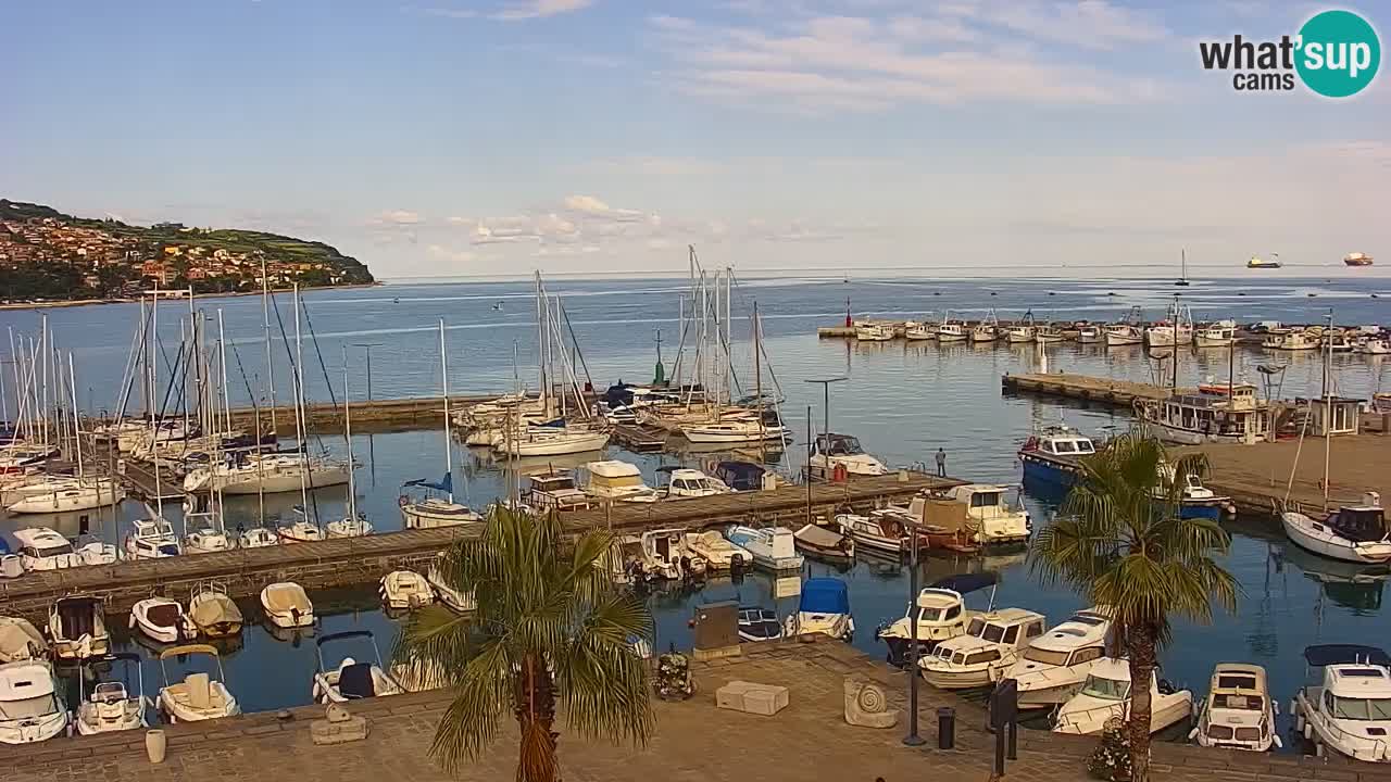 Web kamera Koper – marina i promenada – hotel Grand Koper