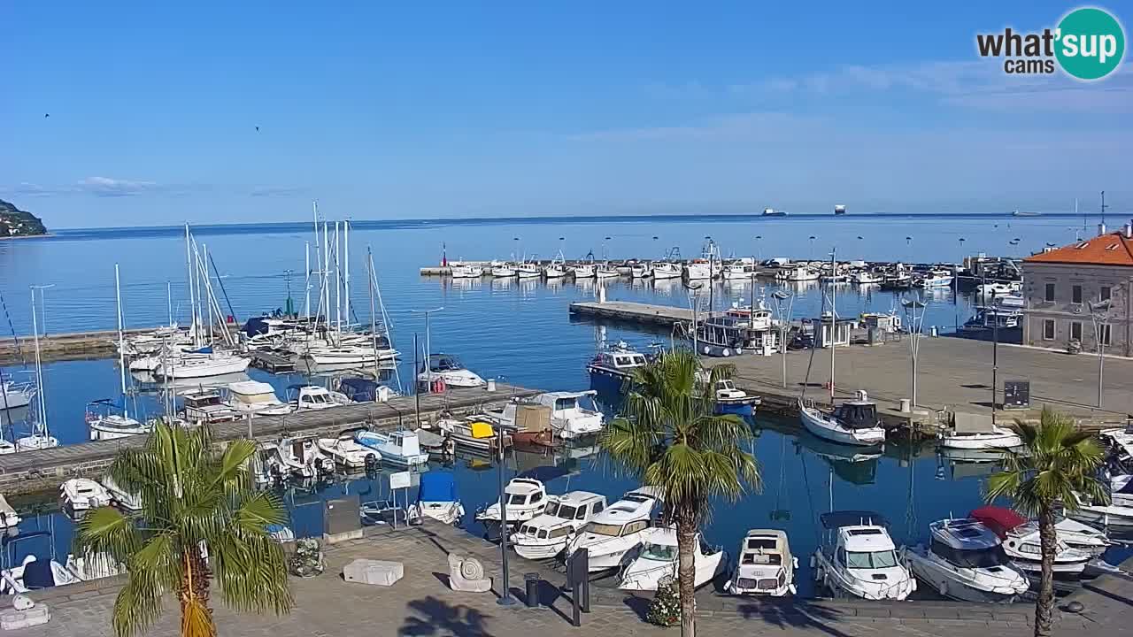 Webcam Koper – Panorama des Jachthafens und der Promenade vom Hotel Grand Koper