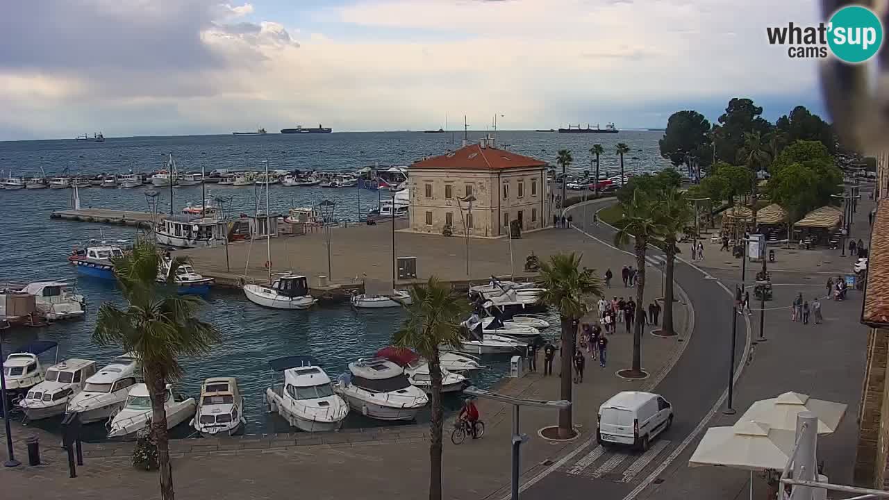 Der Hafen von Koper Live-Webcam – Kreuzfahrt- und Frachthafen – Slowenien