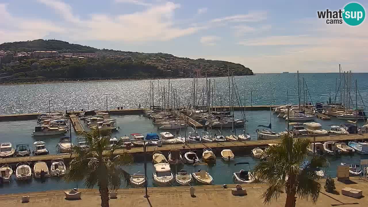 The Port of Koper live webcam – cruise and cargo port – Slovenia
