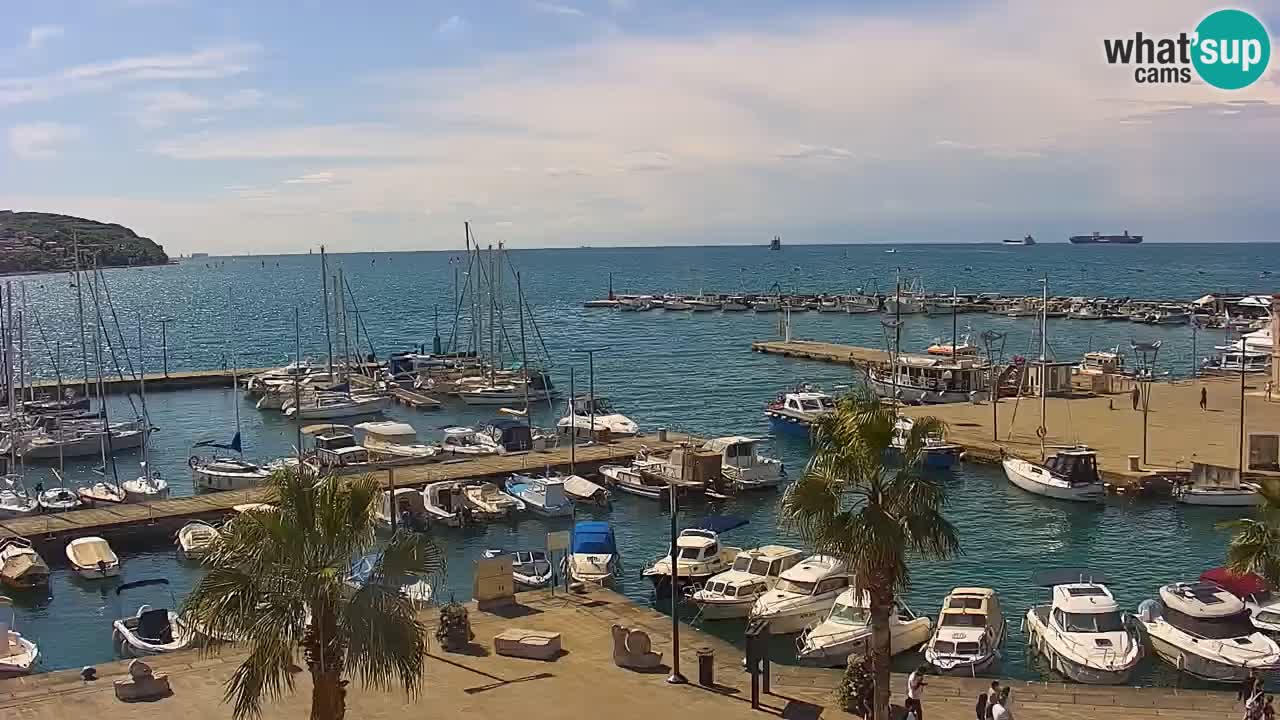 Webcam Koper – Ukmarjev trg