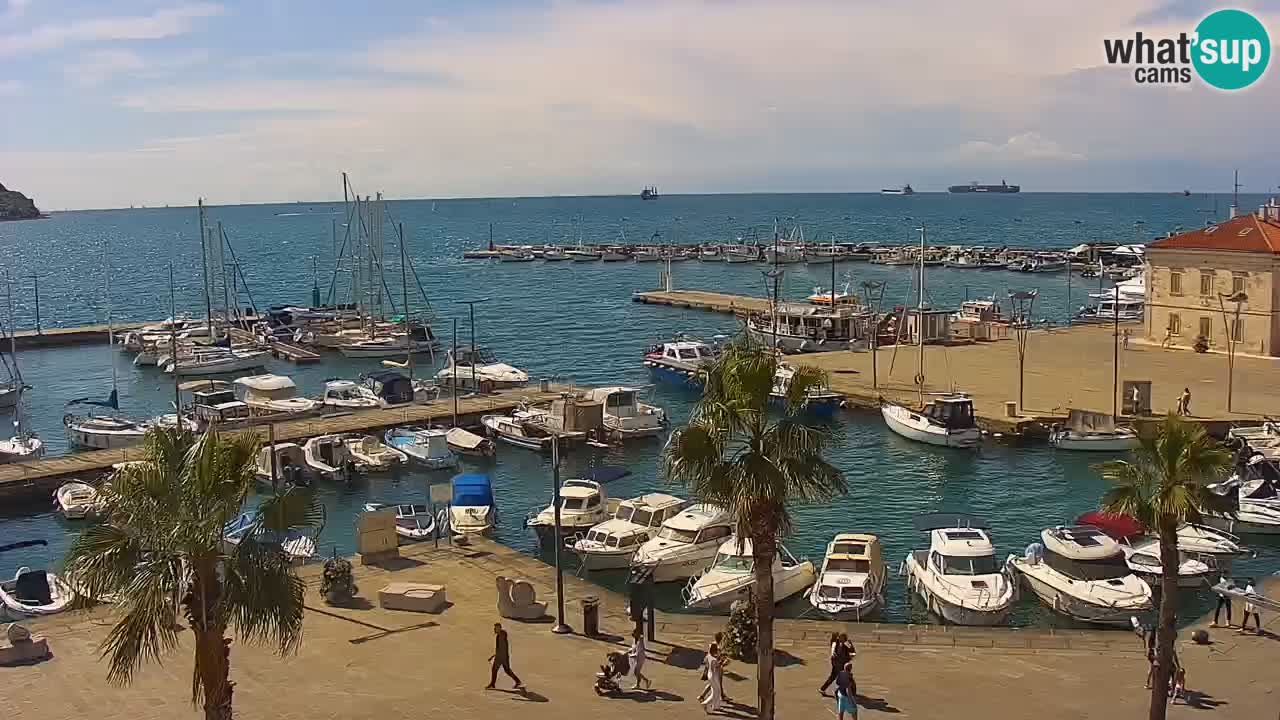Luka Kopar uživo web kamera – Turistički terminal i teretna luka – Slovenija